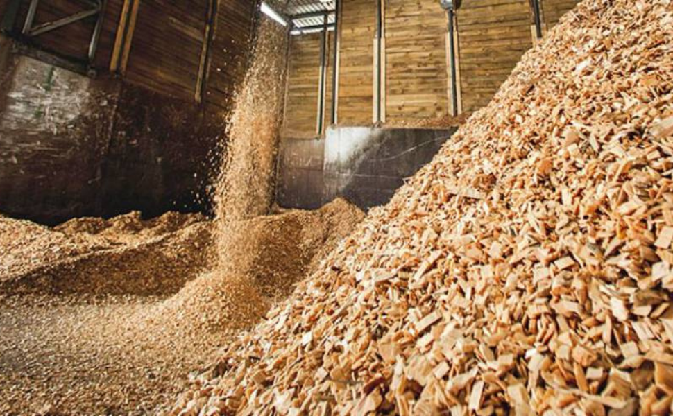 Phương pháp tái chế gỗ